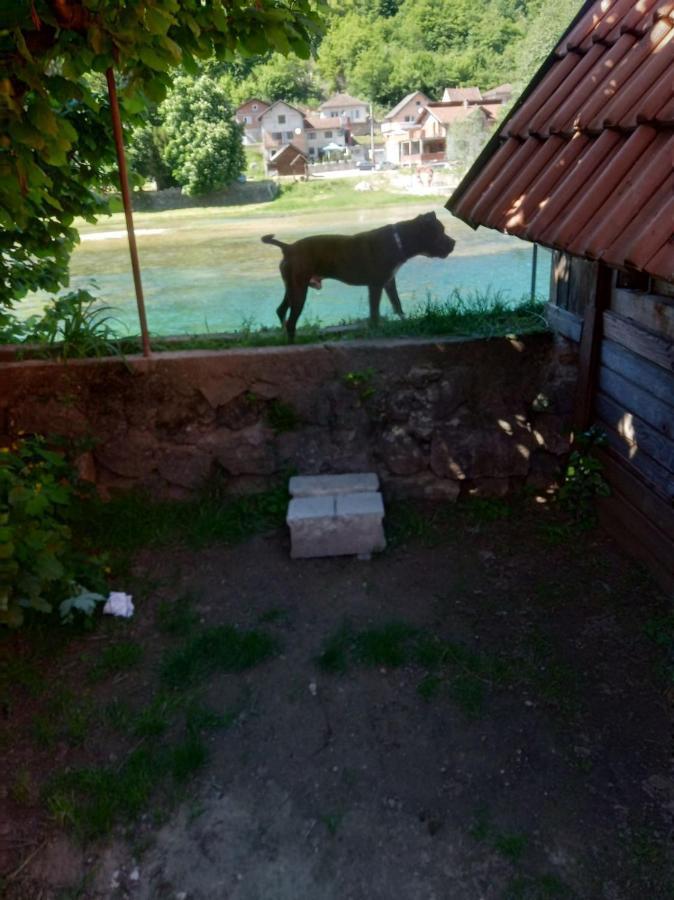 Alfa Apartment Kulen Vakuf Bagian luar foto