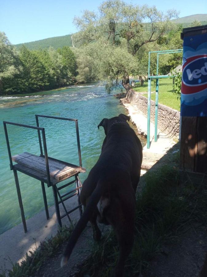 Alfa Apartment Kulen Vakuf Bagian luar foto
